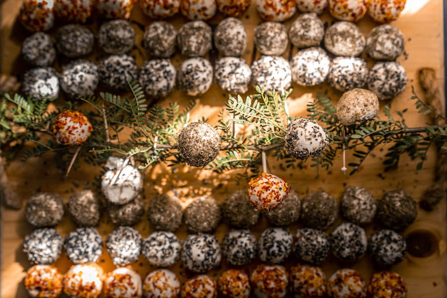 Owl Route 2024 7 6 2