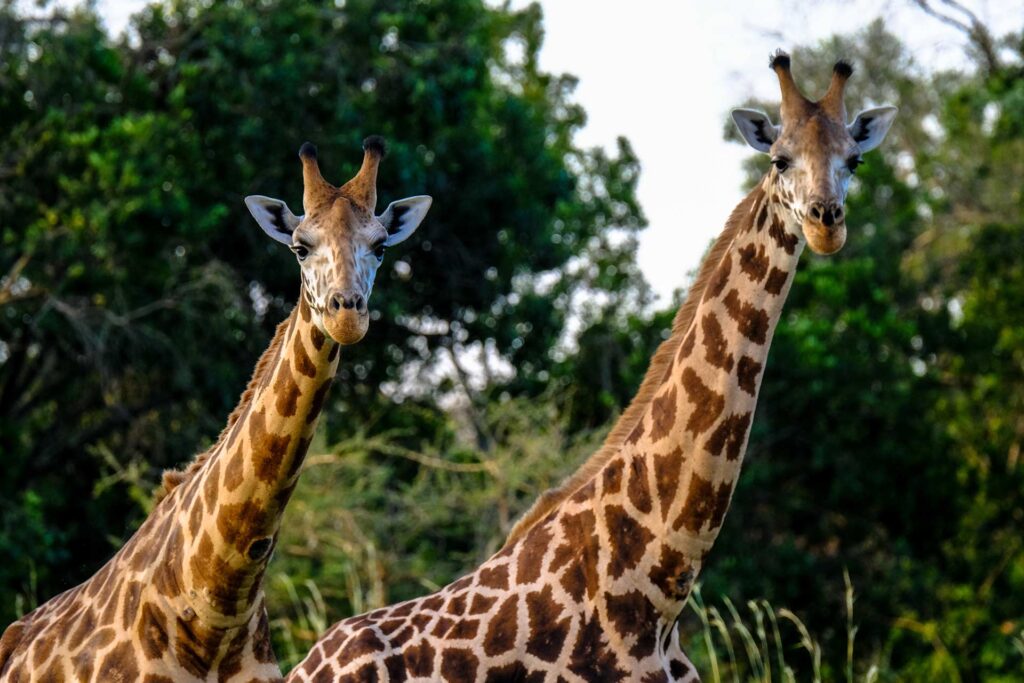 i parallax 07 destination 01