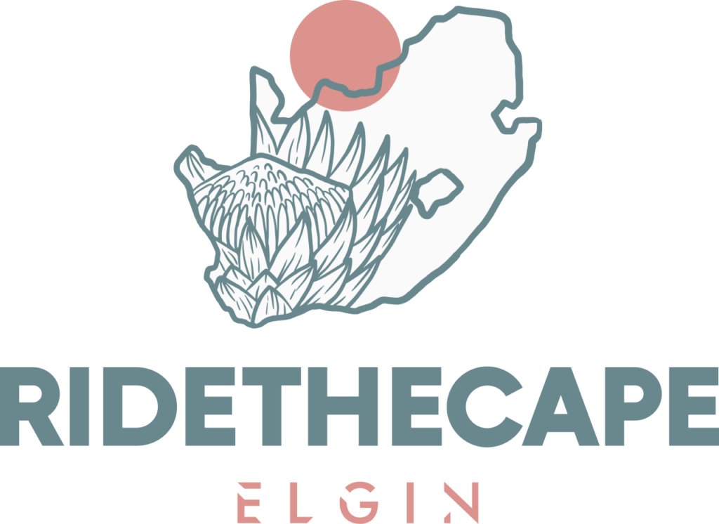 fulllogo transparent nobuffer (2)